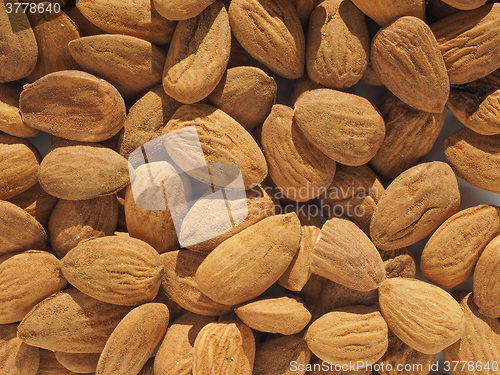 Image of Almonds dried fruit