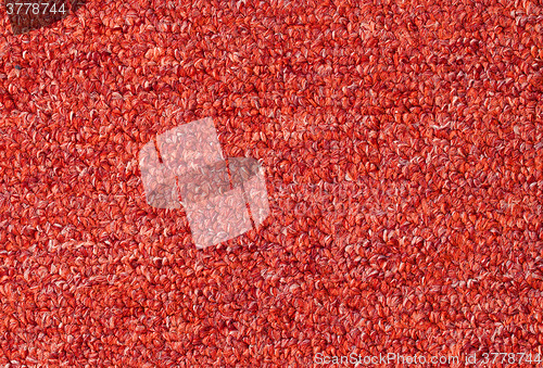 Image of Carpet texture close-up