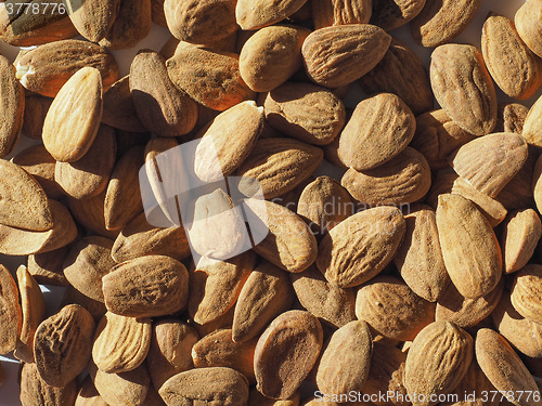 Image of Almonds dried fruit