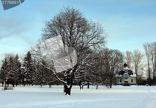 Image of Winter Landscape