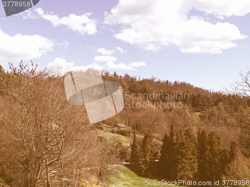 Image of Turin hills vintage