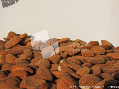 Image of Almonds dried fruit with copy space