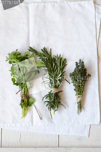 Image of Mixed fresh herbs