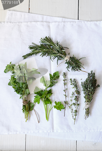 Image of Mixed fresh herbs