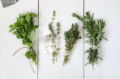 Image of Mixed fresh herbs