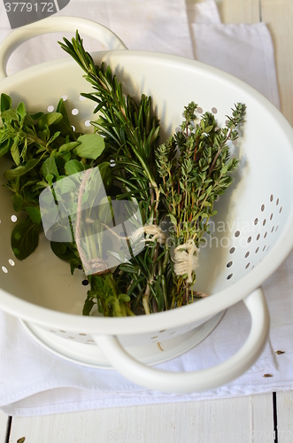 Image of Mixed fresh herbs