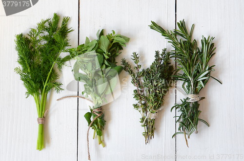 Image of Mixed fresh herbs