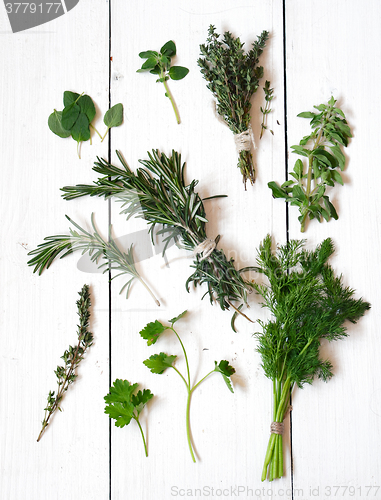 Image of Mixed fresh herbs