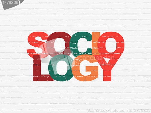 Image of Studying concept: Sociology on wall background