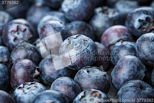 Image of Blueberries background