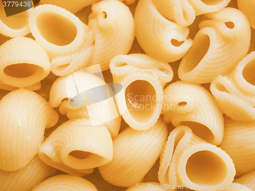 Image of Retro looking Lumache pasta food