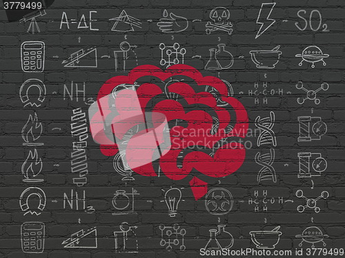 Image of Science concept: Brain on wall background