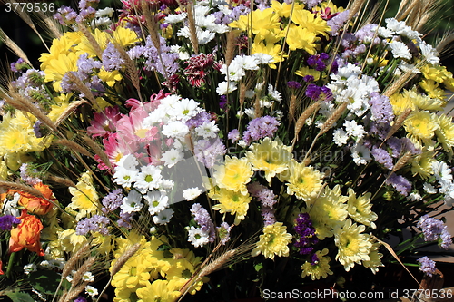 Image of color flowers background