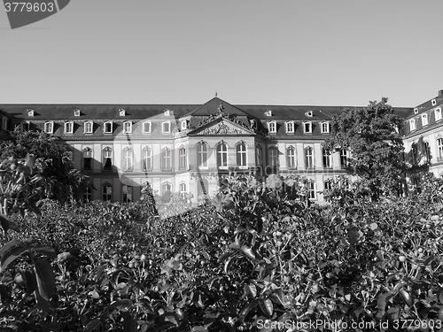 Image of Neues Schloss (New Castle), Stuttgart