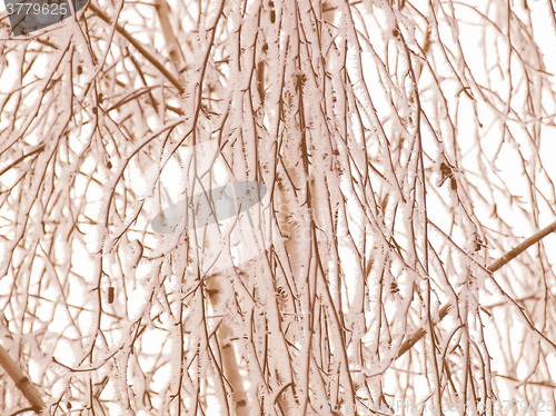 Image of Retro looking Winter picture