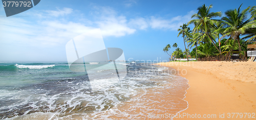 Image of Foamy waves on beach