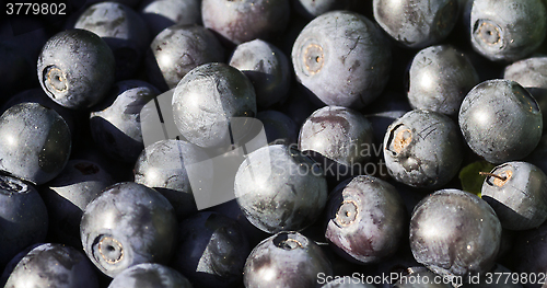 Image of blueberries