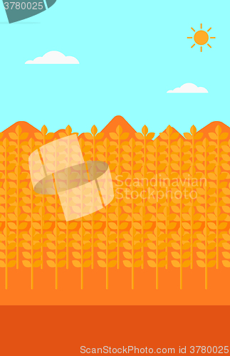 Image of Background of wheat field.