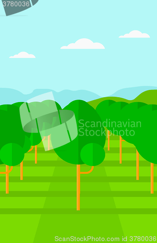 Image of Background of garden with fruit trees.