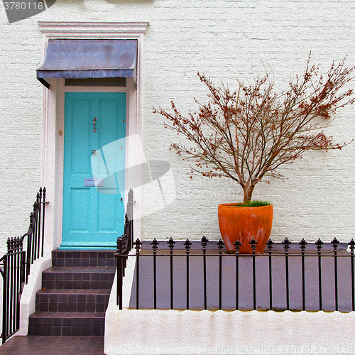 Image of notting   hill  area  in london    and flowers