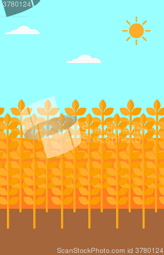 Image of Background of wheat field.
