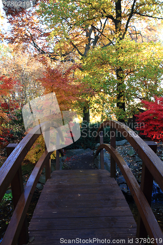 Image of nice autumn background