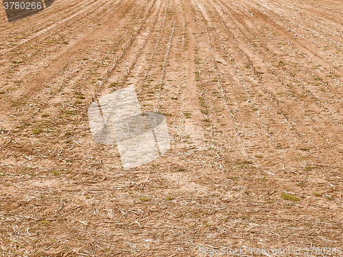 Image of Retro looking Field picture