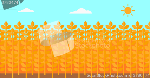 Image of Background of wheat field.