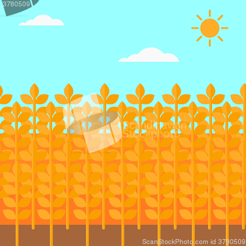 Image of Background of wheat field.