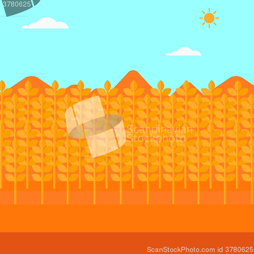 Image of Background of wheat field.