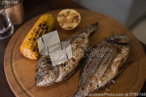 Image of Grilled dorado fish