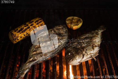 Image of Grilled dorado fish