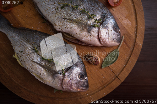 Image of Fresh uncooked dorado 