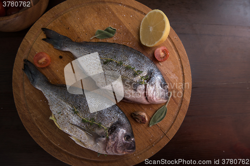 Image of Fresh uncooked dorado 