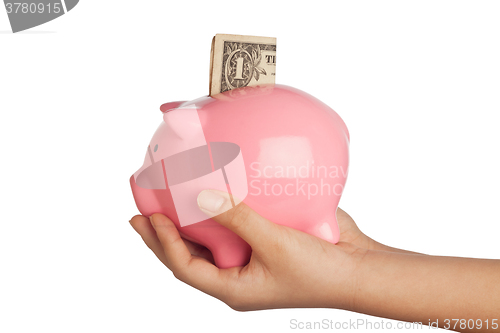 Image of Savings in piggy bank