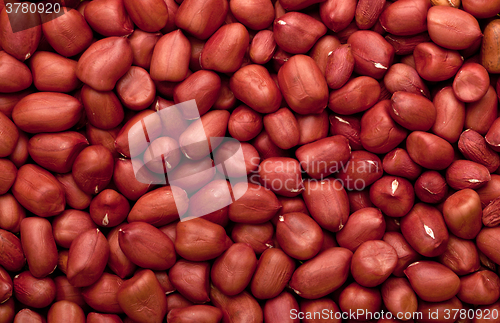 Image of Shelled peanuts