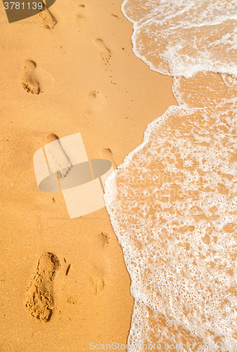 Image of Ocean beach background