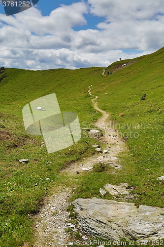 Image of Hilly Landscape Path