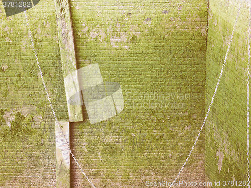 Image of  Green moss vintage