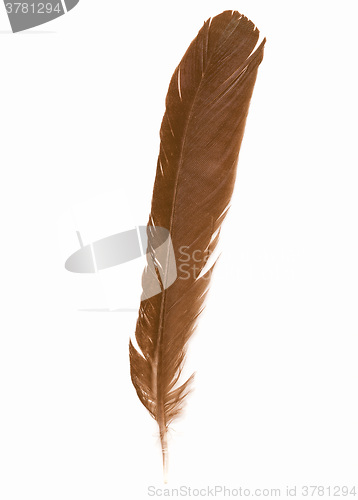 Image of  Feather vintage
