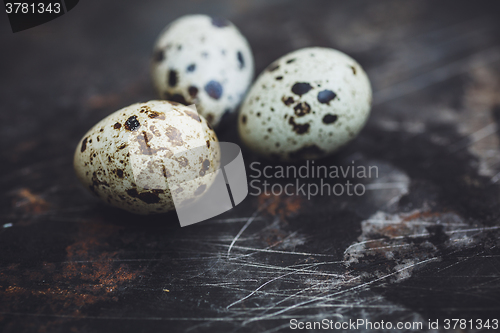 Image of Quail eggs on a dark background