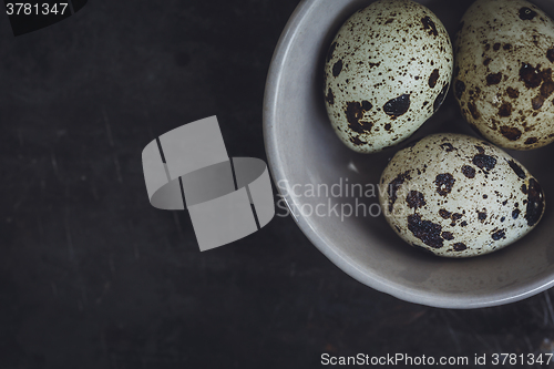 Image of Quail eggs in the bowl