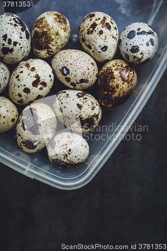 Image of Quail eggs in a plastic bowl