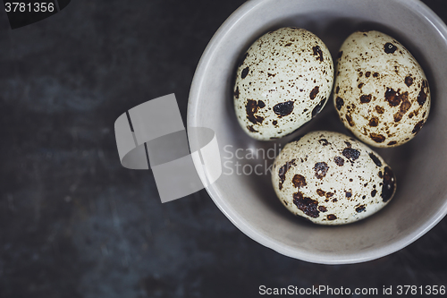 Image of Quail eggs in the bowl