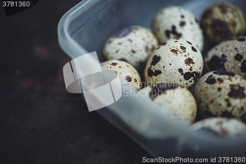 Image of Quail eggs in a plastic bowl