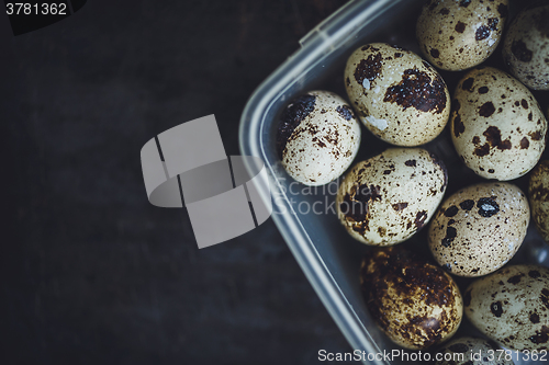 Image of Quail eggs in a plastic bowl