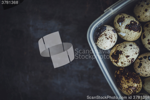 Image of Quail eggs in a plastic bowl