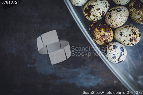 Image of Quail eggs in a plastic bowl