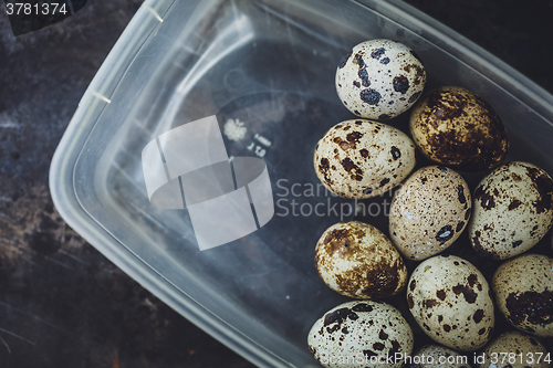 Image of Quail eggs in a plastic bowl