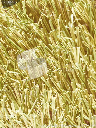 Image of  Artificial grass vintage